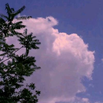 铁剑古琴缘手游